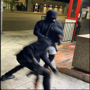 Meet your Posher, Wtg glizzy